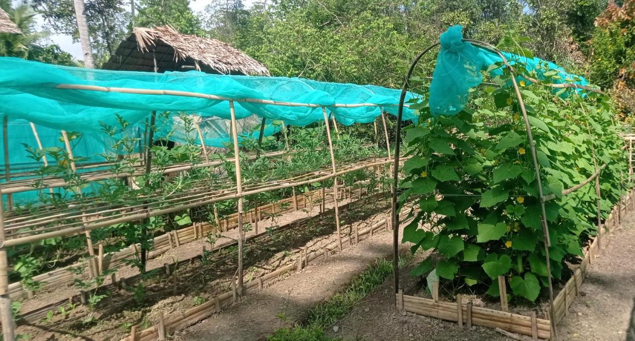 פורטו פרינססה Ocean Green Eco Lodge מראה חיצוני תמונה