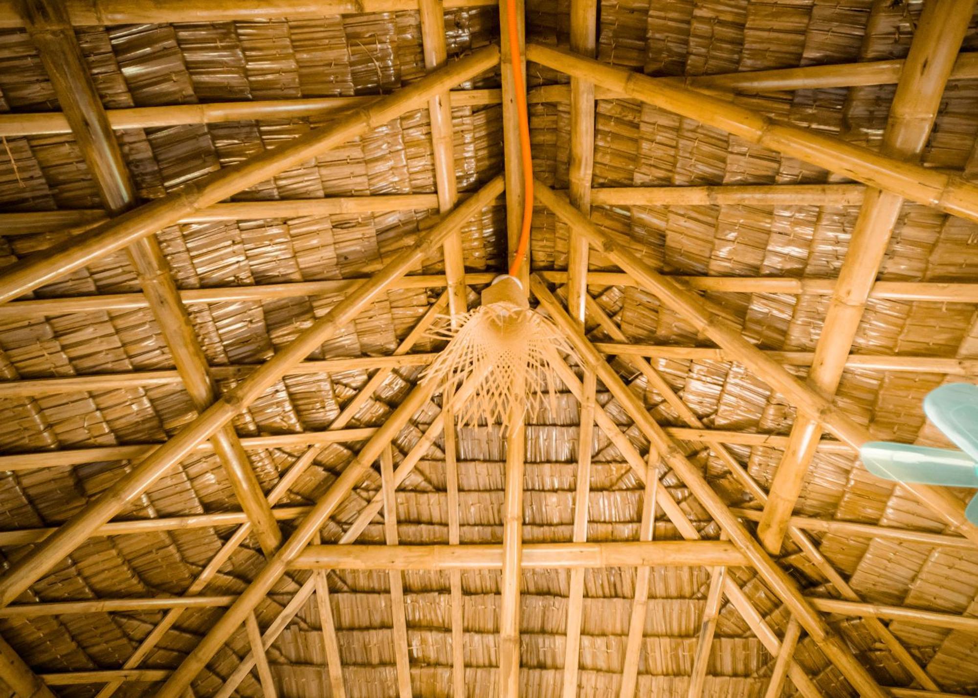 פורטו פרינססה Ocean Green Eco Lodge מראה חיצוני תמונה